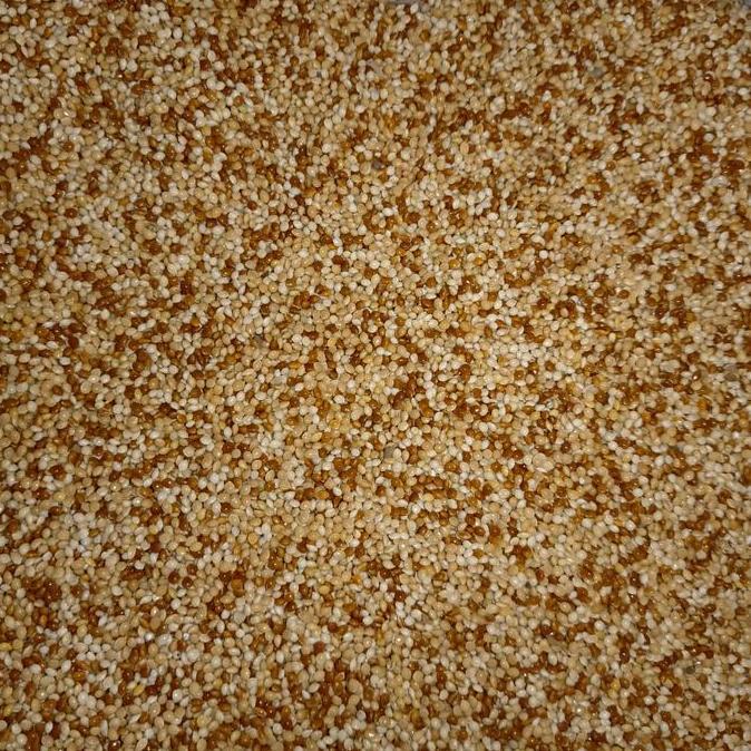 Milet putih campur milet merah 25kg - pakan lovebird