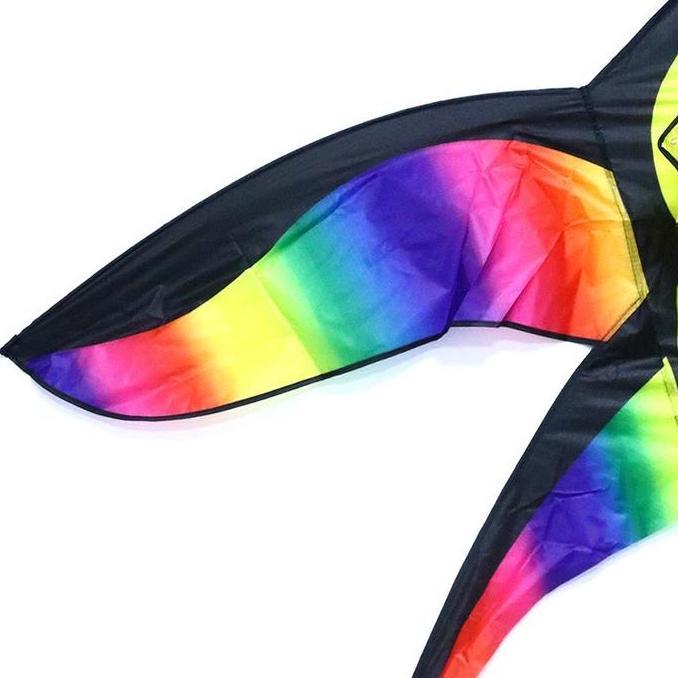 Layangan Bapangan Besar Layang Layang Model Burung Layang Layang Warna