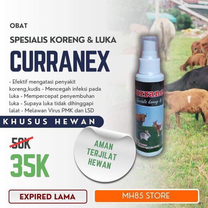 obat gudik kambing paling ampuh Curranex Spray