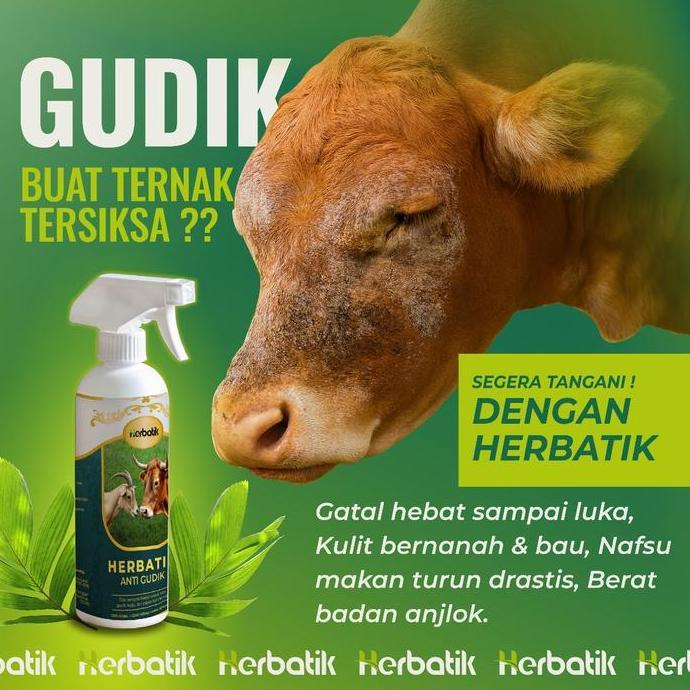 Herbatik Anti Gudik Obat Herbal Alami untuk Sapi & Kambing dari Gatal, Kudis, Gudik, Kurap, dan Infe