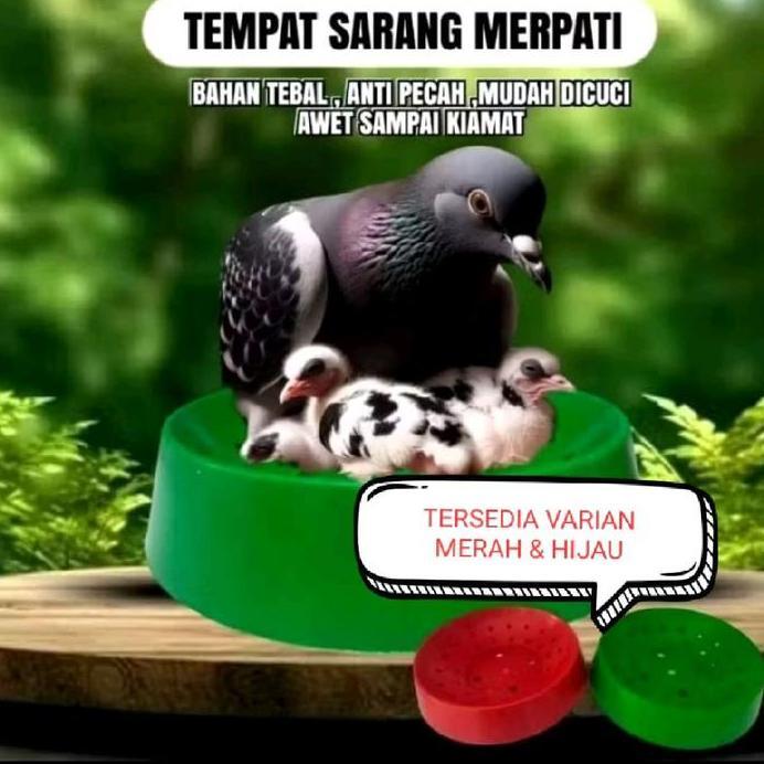 SARANG BURUNG PLASTIK MERPATI FIBER PLASTIK ANTI PECAH WADAH TELUR MENGERAM