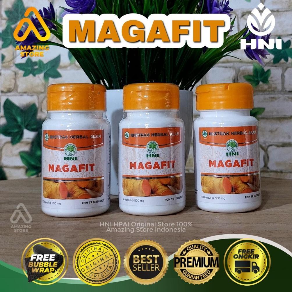 Magafit Hni Hpai Obat Maag Kronis Dan Obat Asam Lambung Ampuh, Herbal Obat Asam Lambung Hni Hpai
