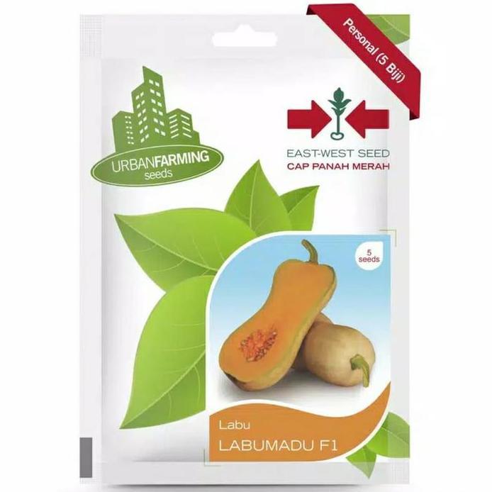 ( 1 PACK ) Benih Labu Butternut LABUMADU F1 - Cap Panah Merah