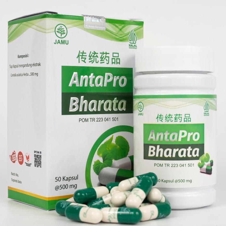 Antapro Bharata Asli Obat Saraf Kejepit Darah Tinggi Kolestrol Stroke