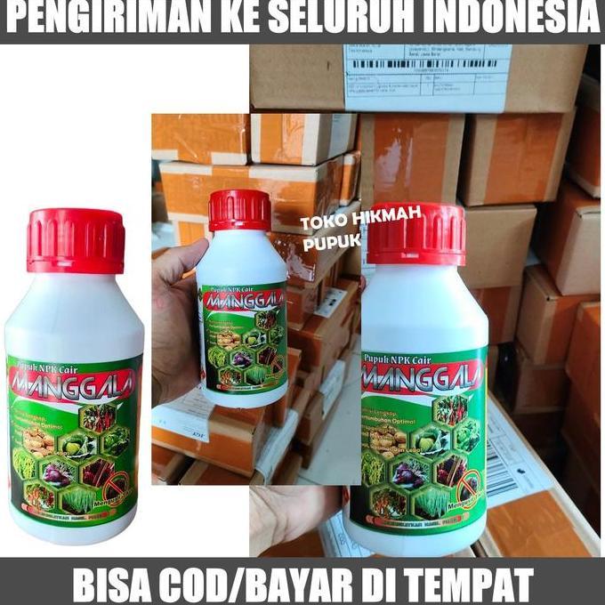PROMO RICETOP RICE TOP PENAMBAH BOBOT PADI PALING BAGUS