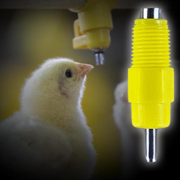 POIRENS Isi 20 Nipel Pipa Kotak Aksesoris Alat Minum Ayam Nepel Minum Ayam