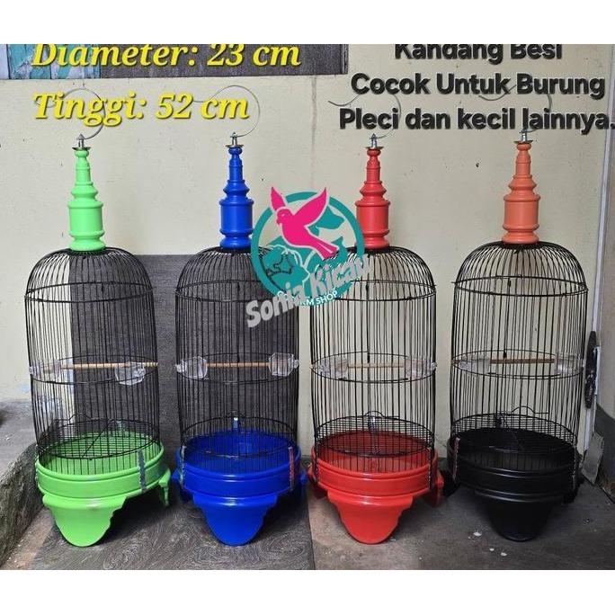 Kandang Besi Pleci Sangkar Pleci Sangkar Burung Kecil