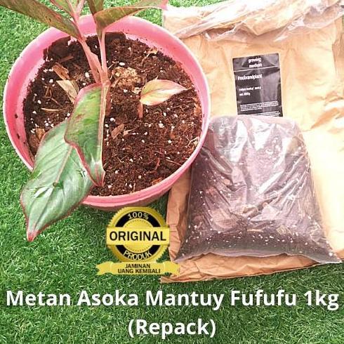 NEW MEDIA TANAM METAN MANTUY ASOKA *FUFUFU* 1KG REPACK 1 KG #NOBRANDPLANT ORI