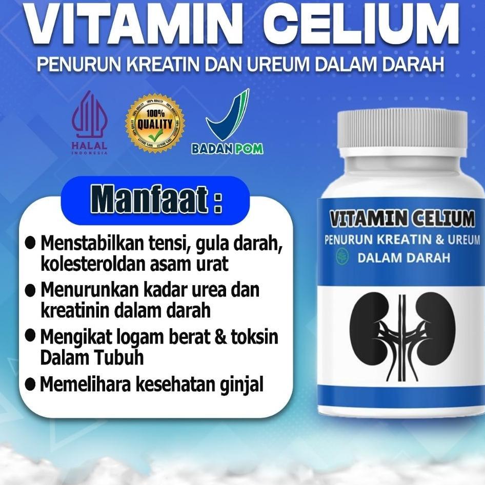Vitamin Celium Herbal Halal Membantu Menutrisi Ginjal Menurunkan Kreatin & Urea Dalam Darah Suplemen