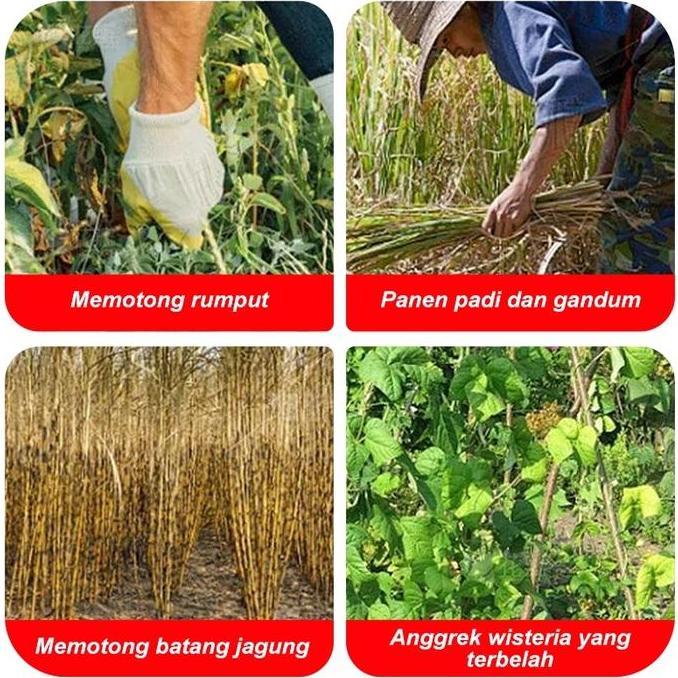 Bar.Roby - Sabit Lipat Multifungsi 40/50Cm | Sabit Baja Kuat Sabit Arit Tani | Alat Kebun Potong Rum