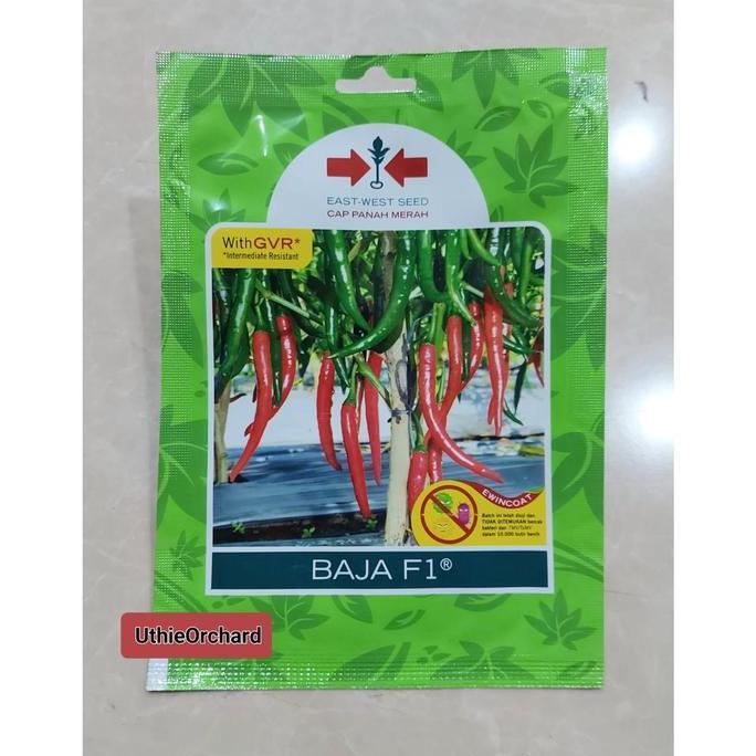 Benih Panah Merah Cabe Merah Besar Baja F1 SP isi 125 Benih