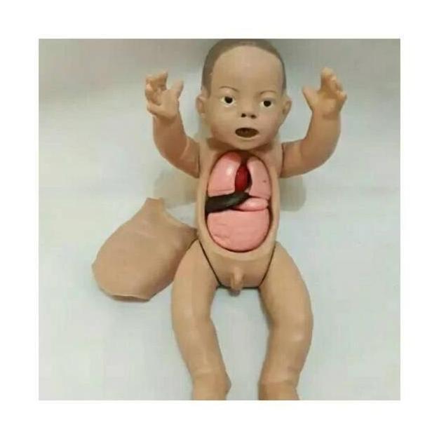 TERLARIS PHANTOM BAYI RESUSITASI DADA TERBUKA