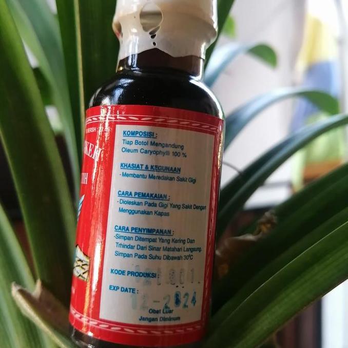 Osso- Minyak Cengkeh 22 Ml Cap Merpati Putih (Dari Ambon)