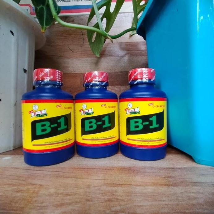 vitamin tanaman dan akar B1 thailand original