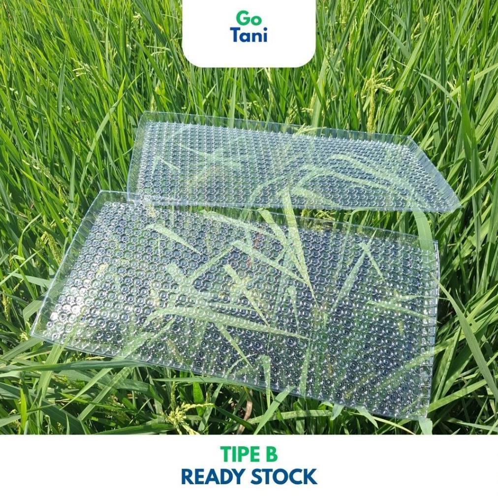 Promo Cod ( Tipe B ) Tray Semai Benih Padi / Tray Semai Padi / Wadah Semai Padi / Tray Semai Paling 