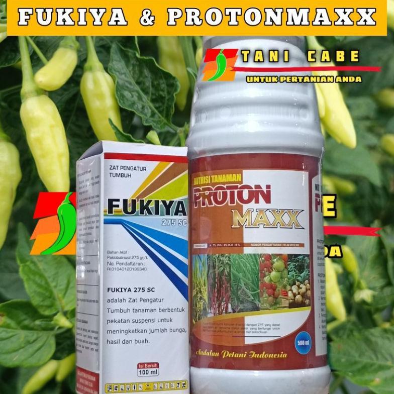 Promo Cod Fukiya 100 Ml & Protonmaxx Pupuk ><