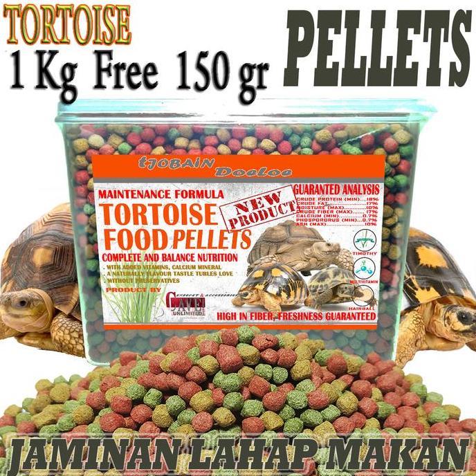 makanan sulcata tortoise kura kura darat food sulkata leopard pardalis aldabra redfood aldabra rusia