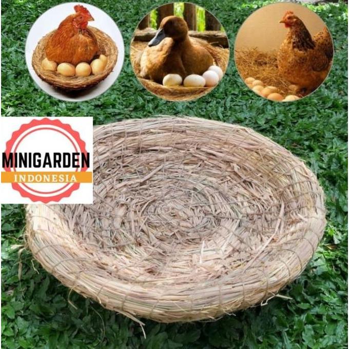 SARANG JERAMI BESAR 35 CM tarangan ayam sarang susuh serat jerami