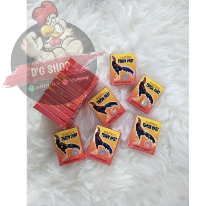 Obat Kapsul Turun Urat Ayam Aduan Bangkok Thailand BERHOLOGRAM