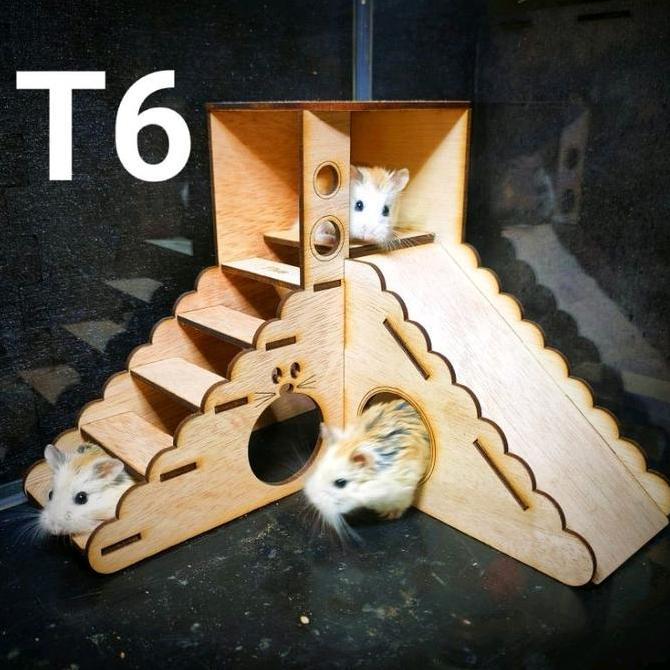 T6 Rumah hamster tangga perosotan, mainan perosotan hamster, mainan tangga hamster, kandang hamster