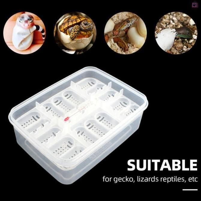 16 Reptile Egg Tray Tempat Telur BD Gecko Snake Incubator Box + Thermo