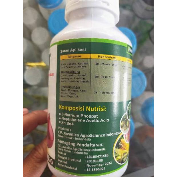 RAVELLACOLLECT NUTRISI TANAMAN KERDIL ASMAT 500 ML UNTUK PADI HEMAT
