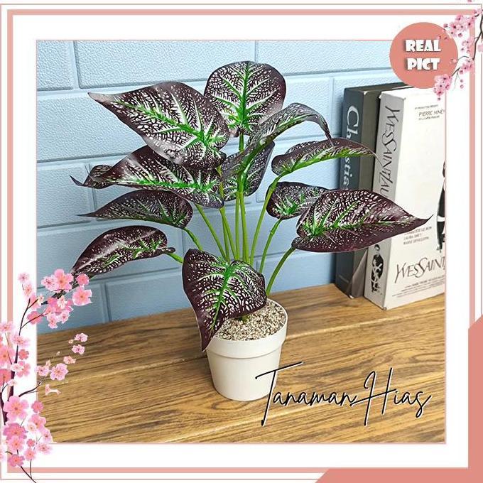 Decor- Unico Pot Bunga Daun Keladi Tanaman Hias Daun Talas Motif Daun Kering Plastik Dekorasi Rumah 