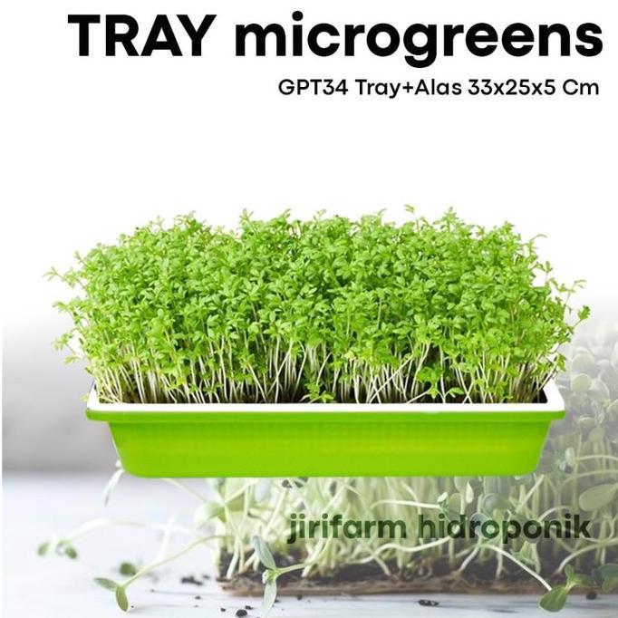 Parkz- Jirifarm - Microgreen Sprouting Tray With Base - Tray Semai Microgreen Dengan Alas