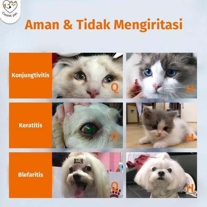 Cod,Bisa- Cassiel Pet Obat Tetes Mata Dan Cairan Pencuci Mata Untuk Kucing Dan Anjing, Dunakan Untuk