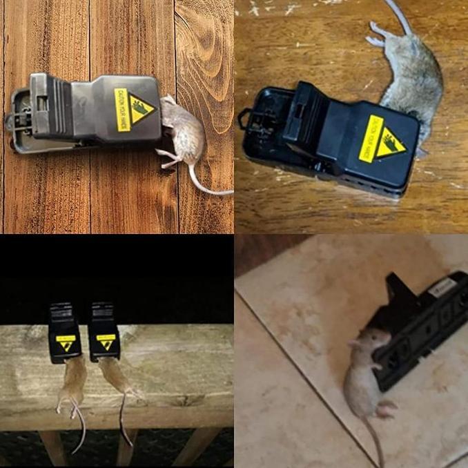 VIVIJEE 4pcs Alat Pembunuh Tikus Alat Tangkap Tikus Jeratan Tikus Sentreg Perangkap Tikus Alat Jebak