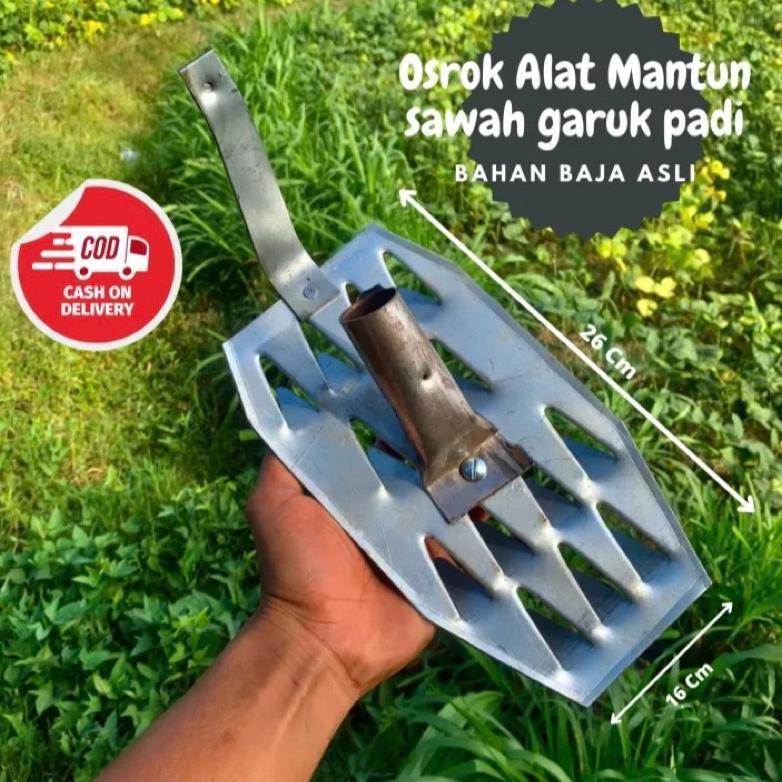 Ready Osrok Sawah Peyiangan Rumput Sawah - Alat Matun Osrok Padi - Garuk Pembersih Gulma Sawah Suket