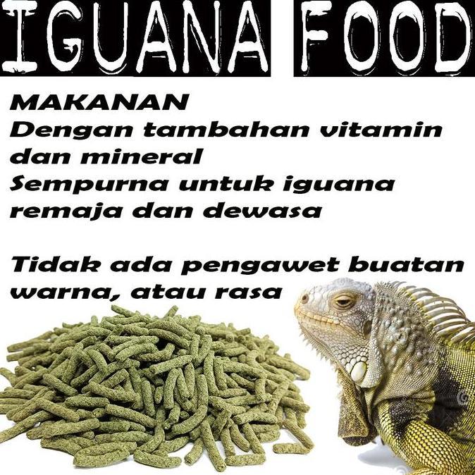Effort- 700Gr Iguana Natural Food Diet Juvenile Adult Pellet Sayur Reptile Iguana Batu Makanan Alami