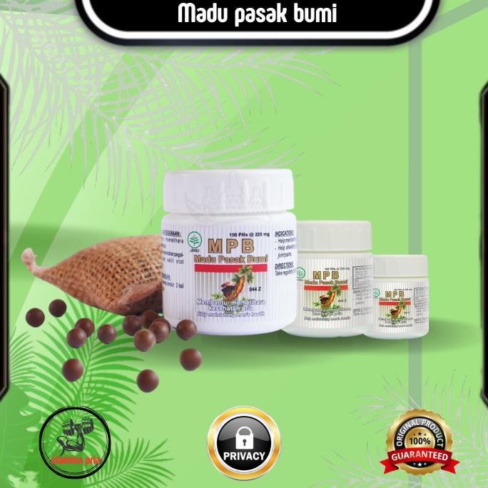 (Terbaru) Obat kuat alami Madu Pasak Bumi penambah stamina vitalitas pria agar tahan lama Penyubur s