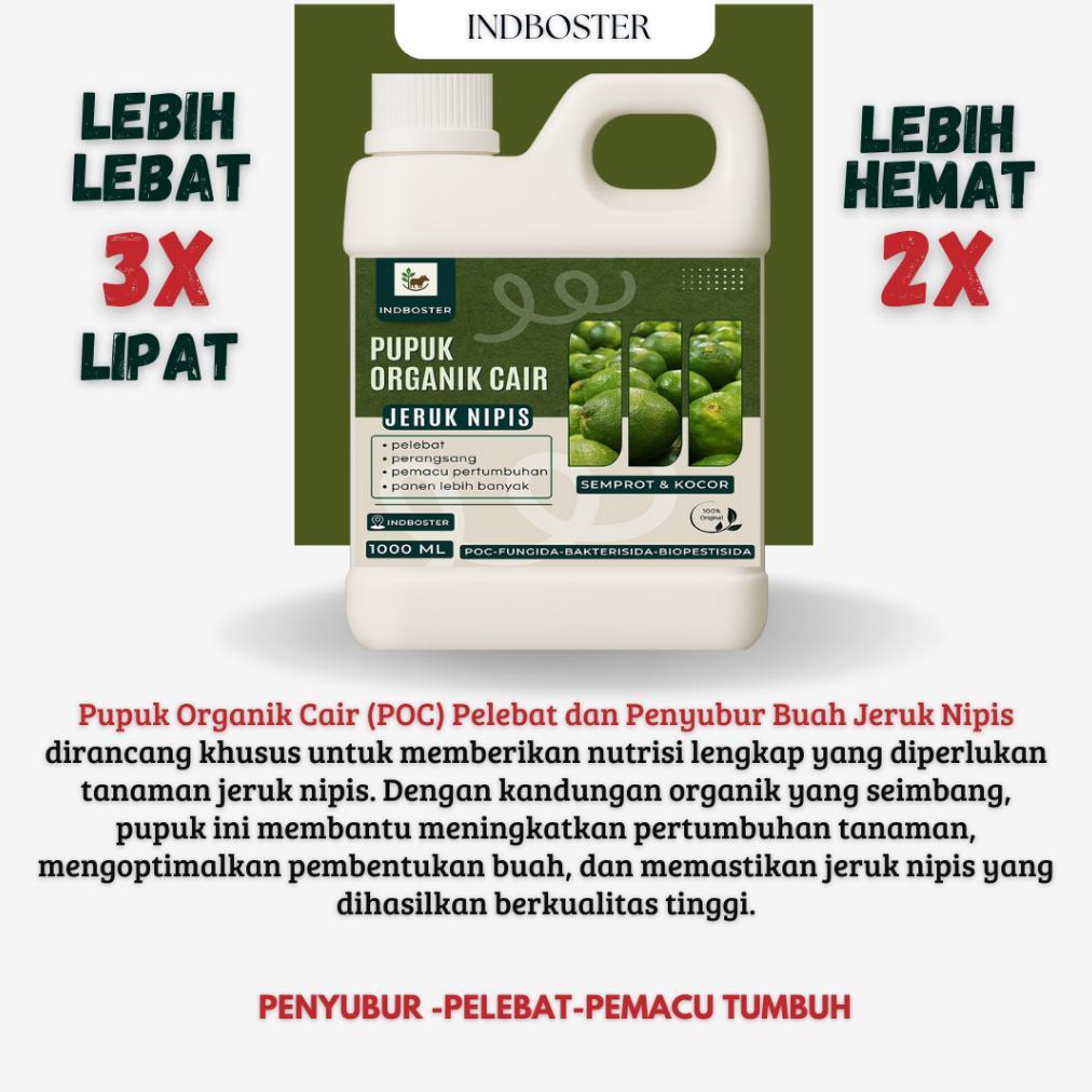 Promo Cod Pupuk Jeruk Nipis / Pupuk Buah Jeruk Nipis / Pupuk Cair Buah Pelebat Tanaman Buah Jeruk Ni
