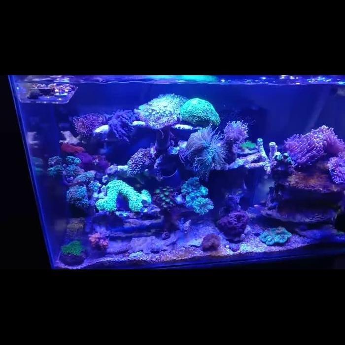 lampu aquarium hpl air laut 100cm 108watt dimmer