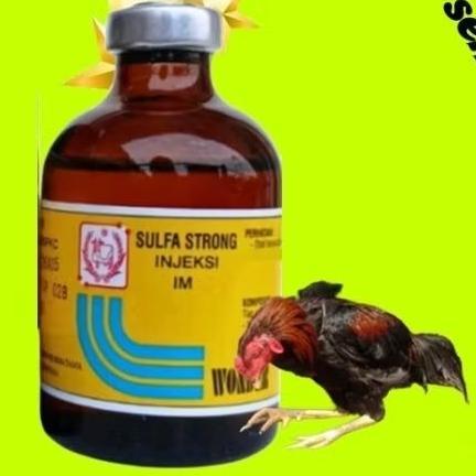 Terlaris Injeksi Sulfa Strong Obat Ayam Sakit Crd Nd Kotoran Hijau Putih Ngorok Bengkak By Wonder