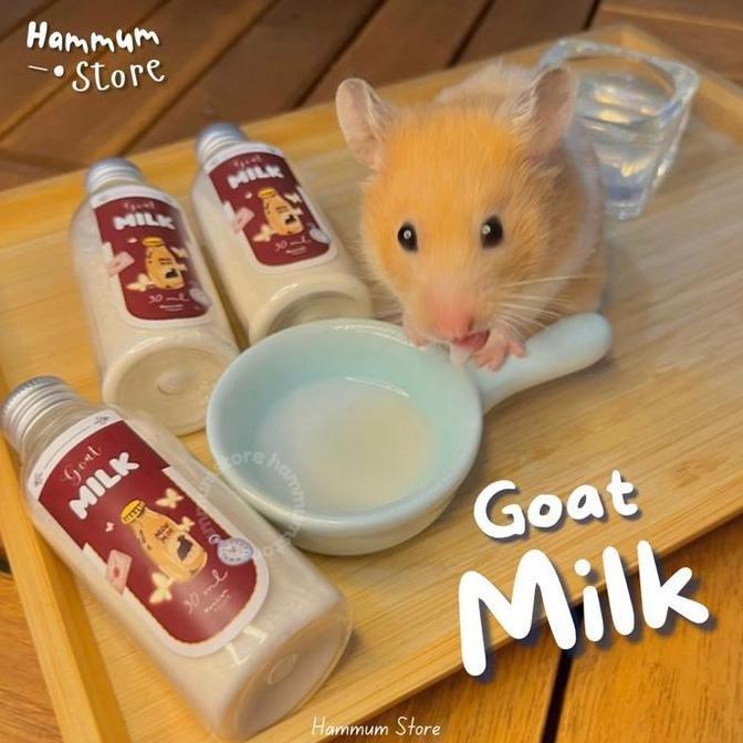 GOAT MILK | Susu Hamster Premium | Susu Kambing Hamster Anakan | Makanan Hamster | Vitamin Hamster |