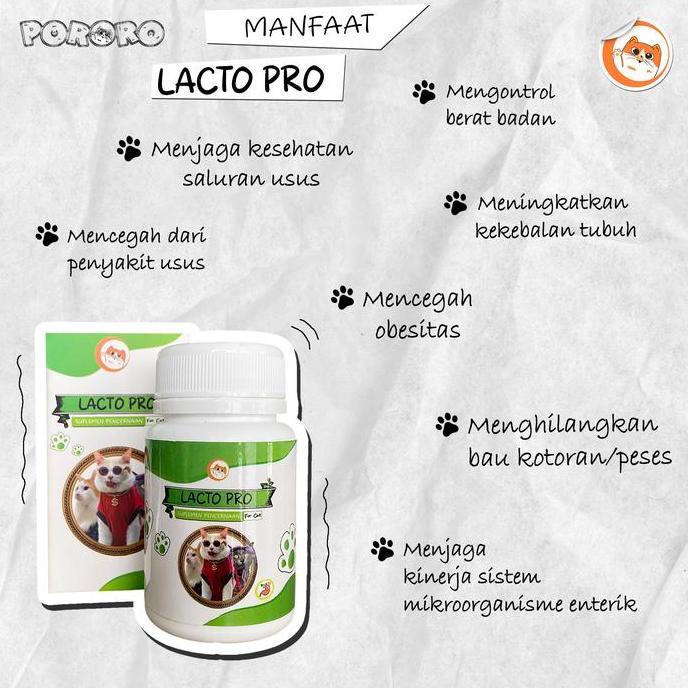 Whatcat- Pororo Vitamin Suplemen Pencernaan Kucing Lacto Pro 50 Capsules