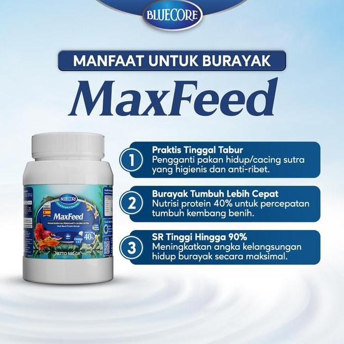 Fisch- Bluecore Maxfeed Pakan Burayak Ikan Penghemat Cacing Sutera Untuk Penggemuk Ikan Dan Perangsa