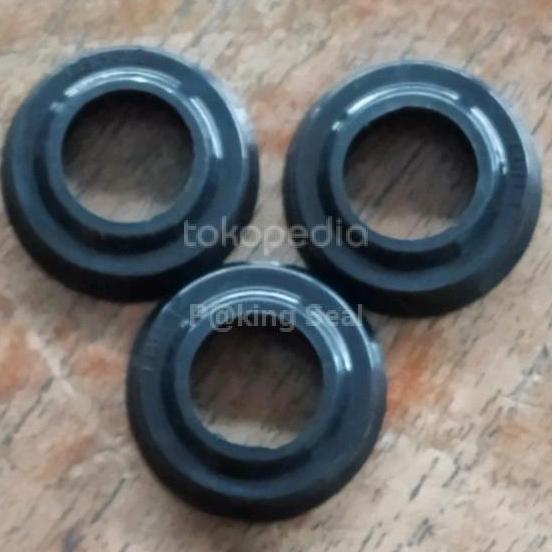 TERLARIS OIL SEAL JET CLEANER/SEAL 12 20 4,5/6