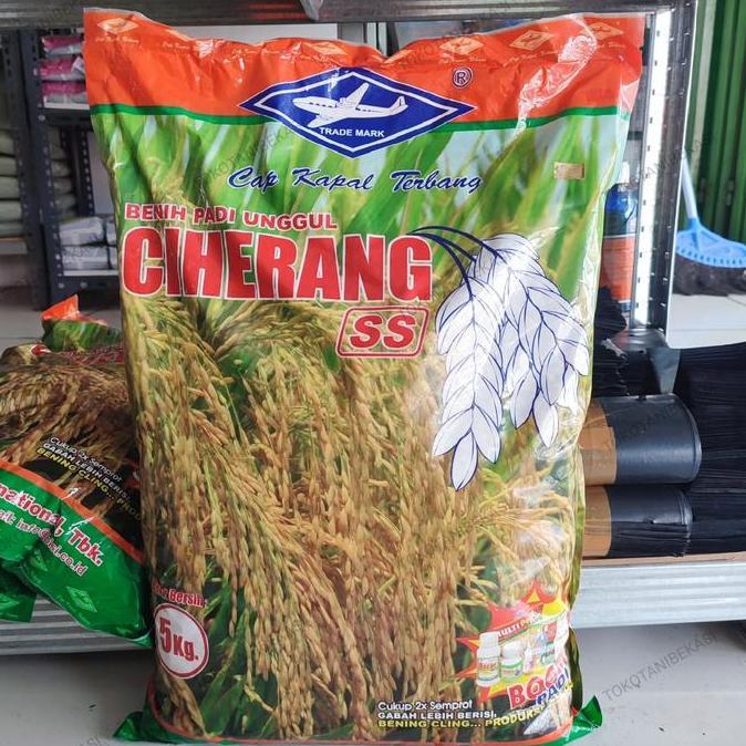 NEW BIBIT BENIH PADI UNGGUL CIHERANG SS CAP KAPAL TERBANG BISI BERAT BERSIH 5KG