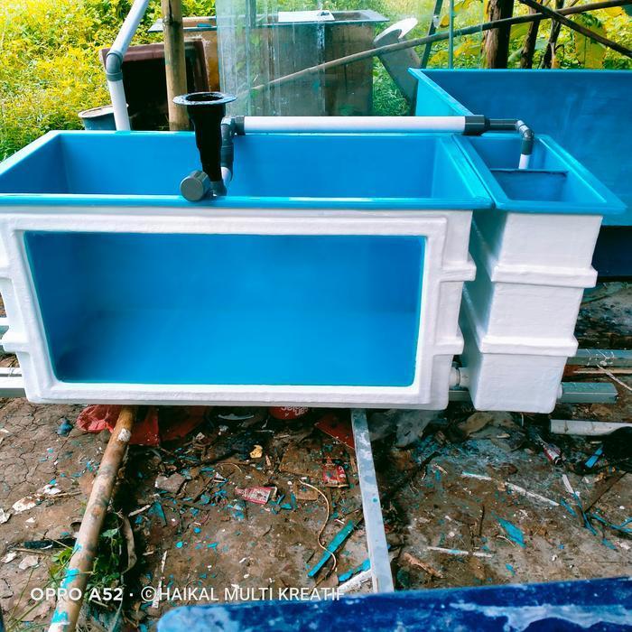 kolam bak ikan aquatik