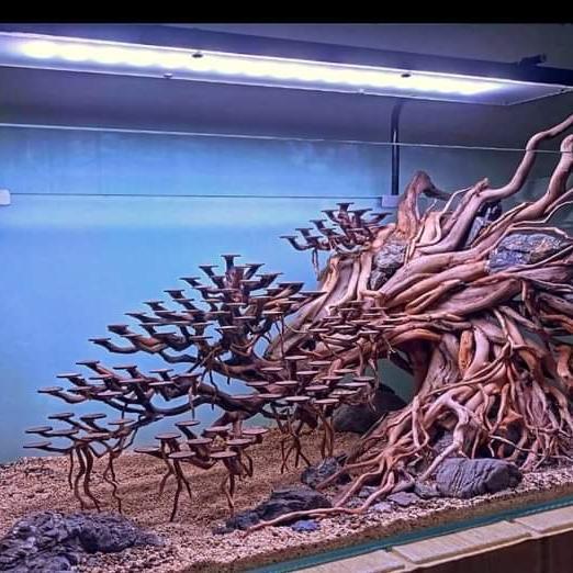 aquascape satu set