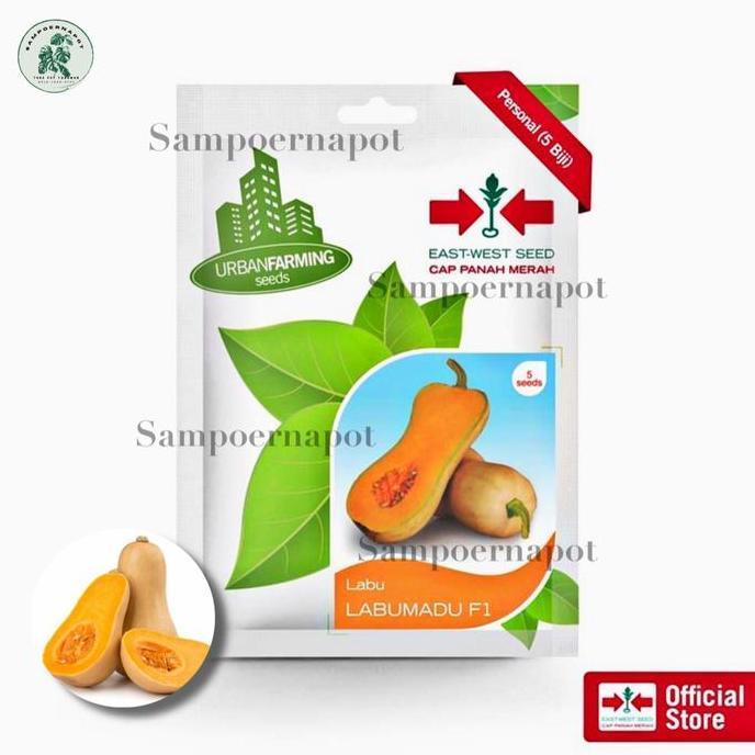 Huayuan- Benih Bibit Labu Madu F1 Cap Panah Merah - Labu Madu F1