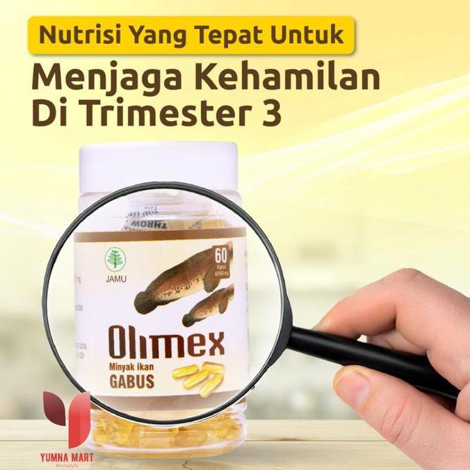 Olimex Minyak Ikan Gabus Original 60 Kapsul Kapsul Ikan Gabus  Ori Terbaru 