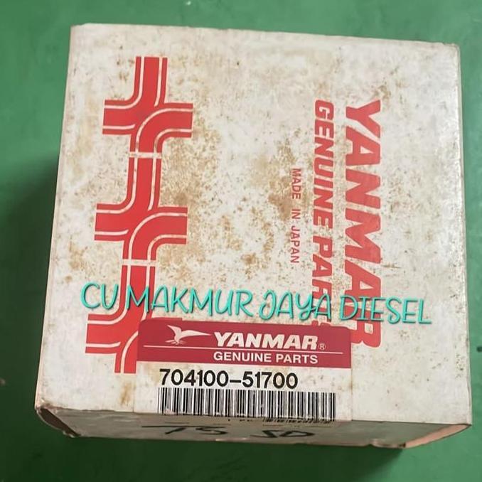Fuel Injection Pump/Bospom TS50 704100-51700 Yanmar