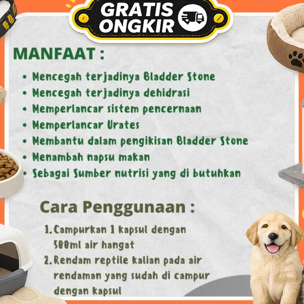 Obat Bladder Stone Bs Torto Kura Kura Darat Sulcata Sulkata Reptile