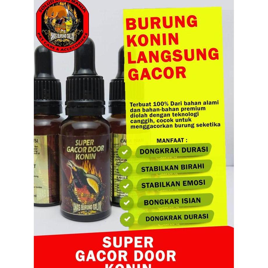 SUPER GACOR DOOR KONIN PENGGACOR SEKETIKA