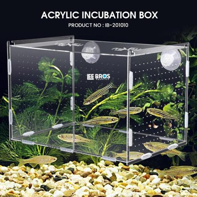 Acrylic Incubation Box / Isolation Box / Akrilik Karantina Ikan
