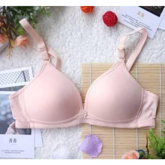 fast delivery 6 pcs grosir bra bh wanita dewasa dan remaja / bh busa murah mewah
